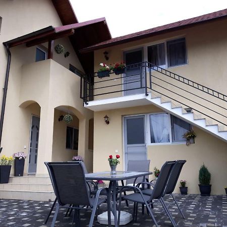 Casa Luisa Apartment Calimanesti Luaran gambar