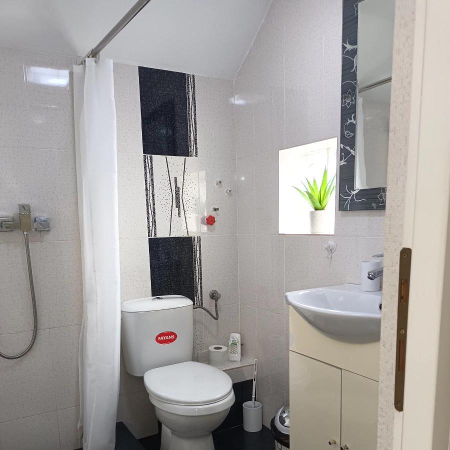 Casa Luisa Apartment Calimanesti Luaran gambar