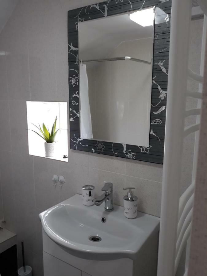 Casa Luisa Apartment Calimanesti Luaran gambar