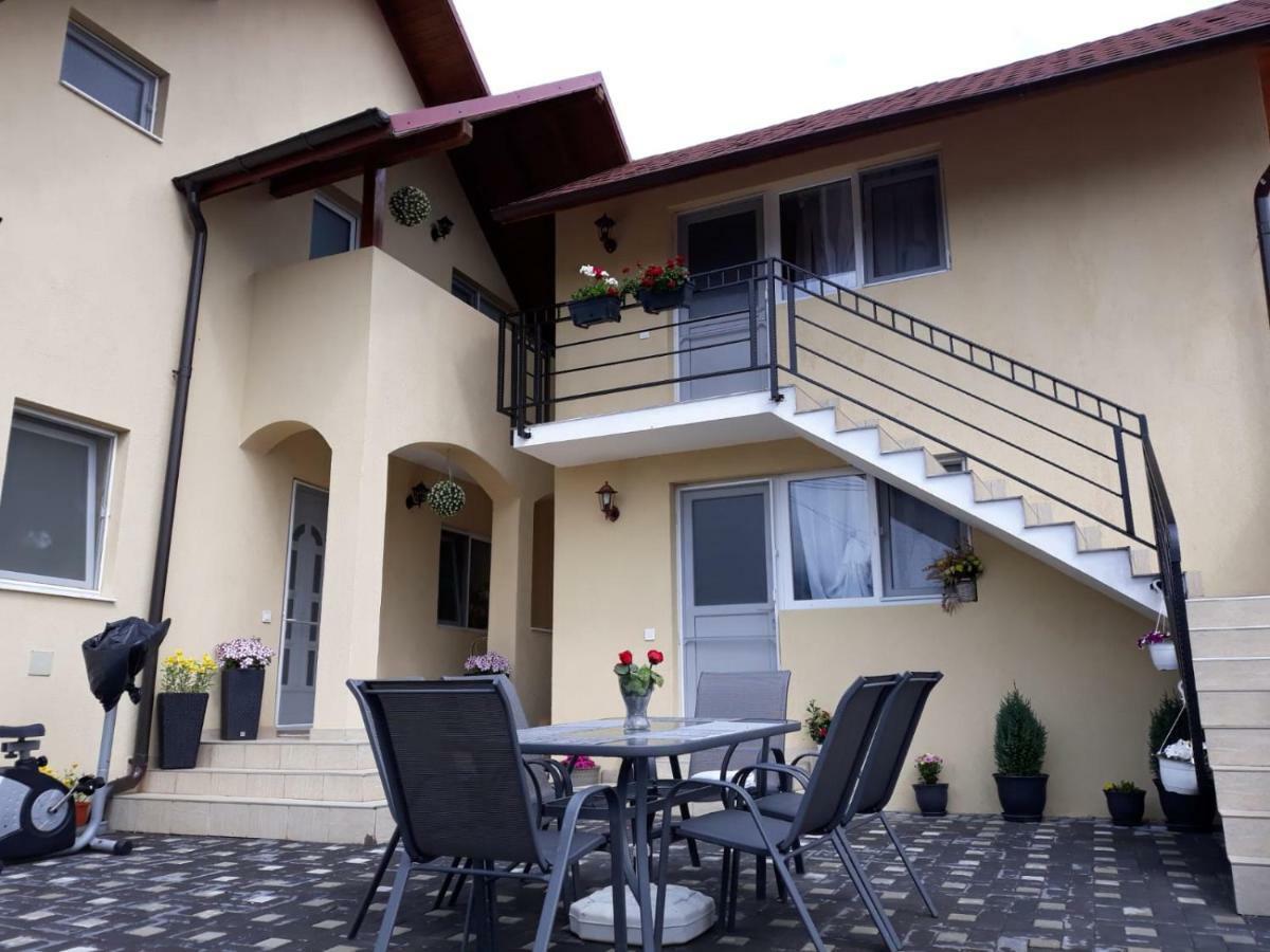 Casa Luisa Apartment Calimanesti Luaran gambar