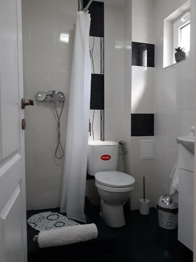 Casa Luisa Apartment Calimanesti Luaran gambar
