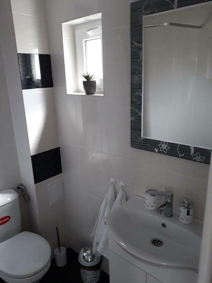 Casa Luisa Apartment Calimanesti Luaran gambar